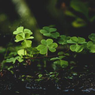 Eine glückliche Beziehung führen: Was sind wichtige Fundamente dafür? Eine glückliche Beziehung führen: Was sind wichtige Fundamente dafür?
